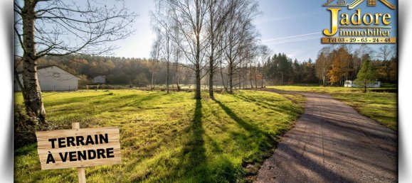 Terrain à Saulcy-sur-Meurthe, France 8882m² No. 112137 4