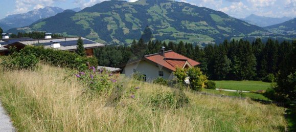  Land in Hopfgarten im Brixental, Austria No. 50403 2