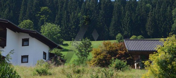  Land in Hopfgarten im Brixental, Austria No. 50403 3