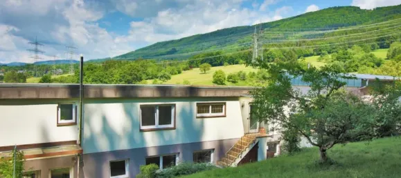 Бунгало с 4 спальнями в Вальдсхут, Германия № 286296 5