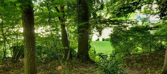 Бунгало с 4 спальнями в Вальдсхут, Германия № 286296 34