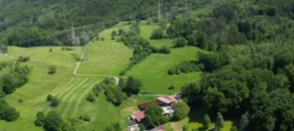 Бунгало с 4 спальнями в Вальдсхут, Германия № 286296 8