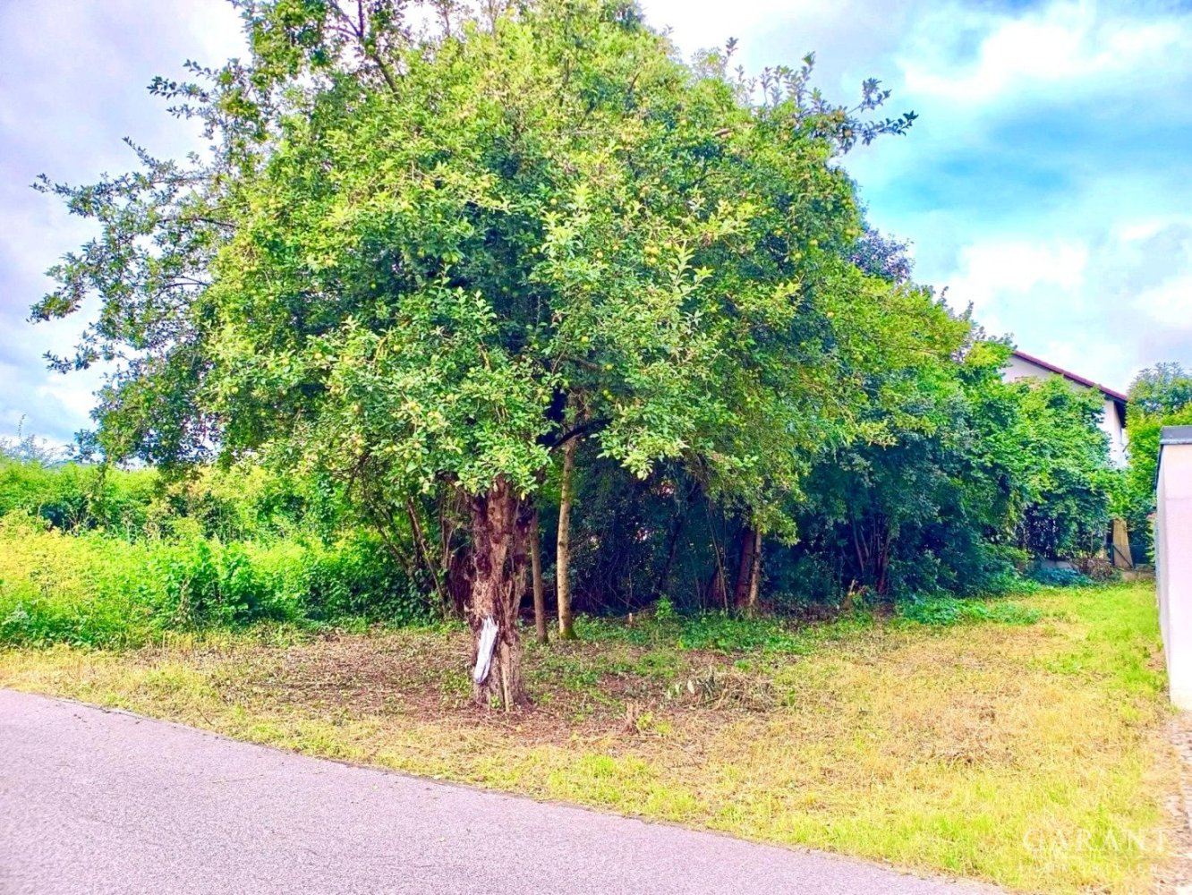 Terreno em Bamberg, Germany 329 m² N.º 119781