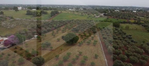 Terreno em Martina Franca, Italy N.º 29080 8