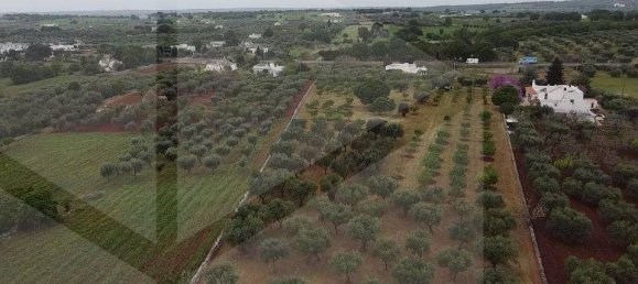 Terreno em Martina Franca, Italy N.º 29080 4
