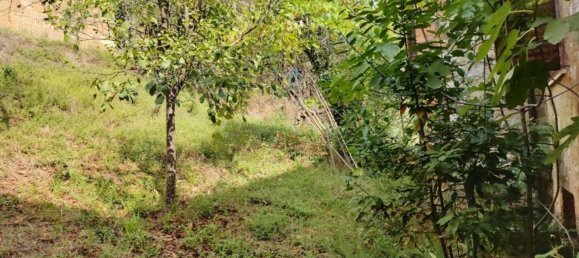 6 rooms Duplex in Montalcino, Italy No. 145605 36