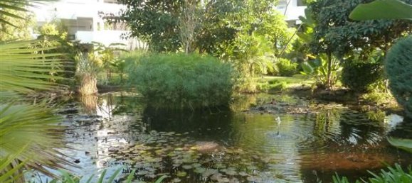 4 bedrooms Penthouse in Marbella, Spain No. 145579 3