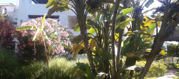 4 bedrooms Penthouse in Marbella, Spain No. 145579 22