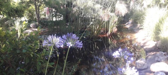 4 bedrooms Penthouse in Marbella, Spain No. 145579 21