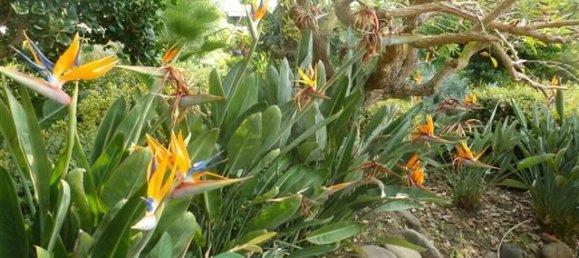 4 bedrooms Penthouse in Marbella, Spain No. 145579 5