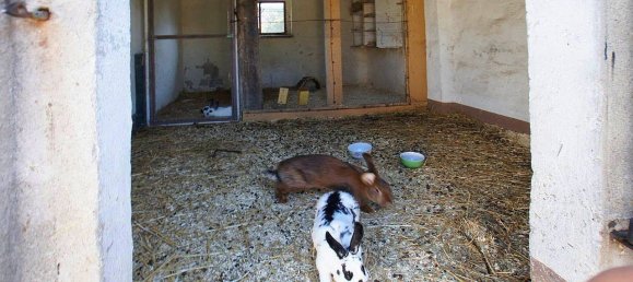 5 rooms House in Vorpommern-Greifswald, Germany No. 212711 6