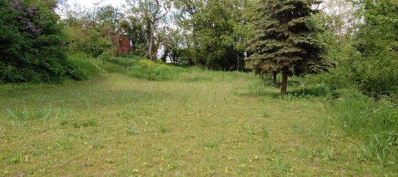 Terrain à Waldeck-Frankenberg, Germany No. 181401 5