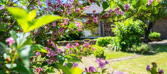 2 غرف نوم بنغالو في Rhineland-Palatinate, Germany رقم 153835 7