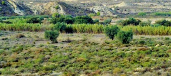  قطعة أرض في Torremendo, Spain رقم 189133 3