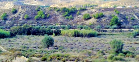  قطعة أرض في Torremendo, Spain رقم 189133 5