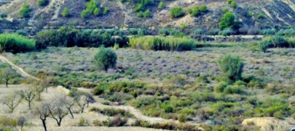  قطعة أرض في Torremendo, Spain رقم 189133 6