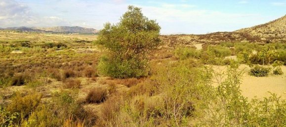  قطعة أرض في Torremendo, Spain رقم 189133 8