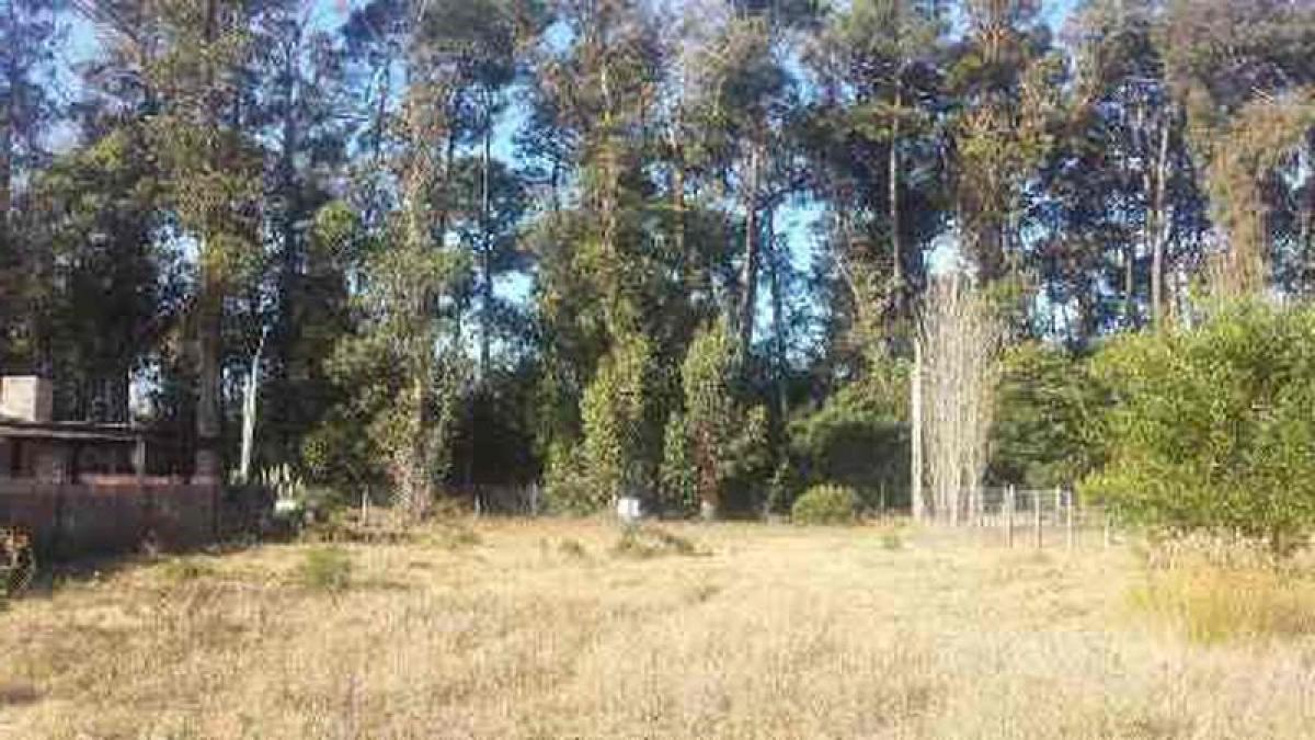 Terreno em Maldonado, Uruguay N.º 16130