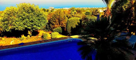 5 bedrooms Commercial property in Pegeia, Cyprus No. 17968 14