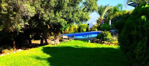 5 bedrooms Commercial property in Pegeia, Cyprus No. 17968 12