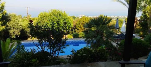 5 bedrooms Commercial property in Pegeia, Cyprus No. 17968 4