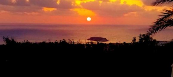 5 bedrooms Commercial property in Pegeia, Cyprus No. 17968 3