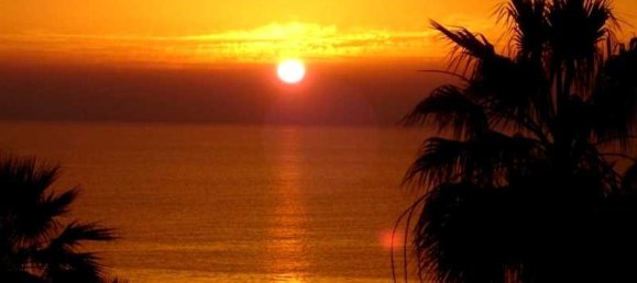 5 bedrooms Commercial property in Pegeia, Cyprus No. 17968 7