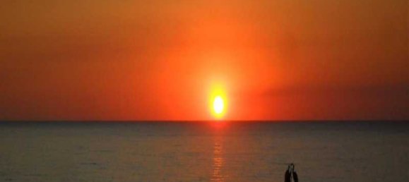 5 bedrooms Commercial property in Pegeia, Cyprus No. 17968 6