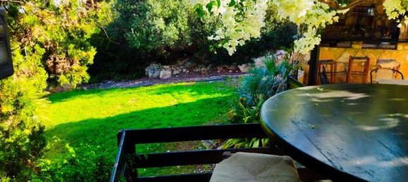 5 bedrooms Commercial property in Pegeia, Cyprus No. 17968 11