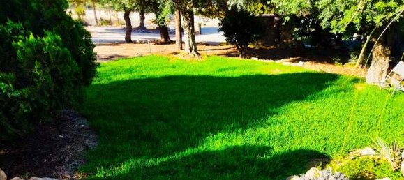 5 bedrooms Commercial property in Pegeia, Cyprus No. 17968 13