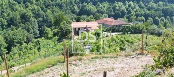 4 bedrooms House in Celorico de Basto, Portugal No. 164131 13