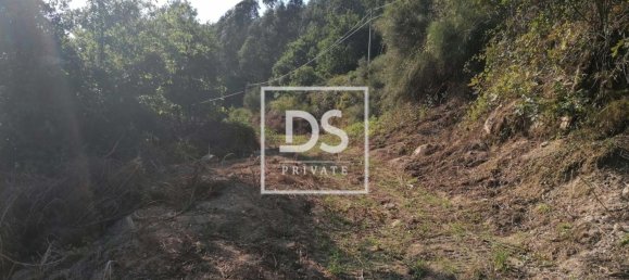 4 bedrooms House in Celorico de Basto, Portugal No. 164131 3