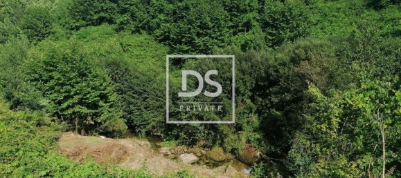 4 bedrooms House in Celorico de Basto, Portugal No. 164131 22