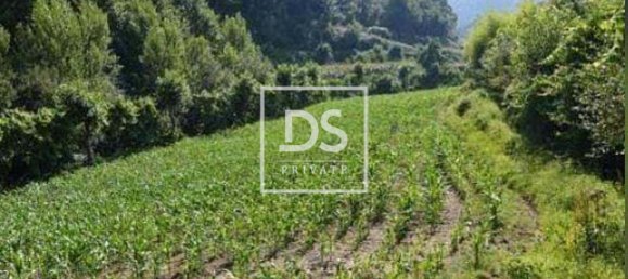 4 bedrooms House in Celorico de Basto, Portugal No. 164131 11