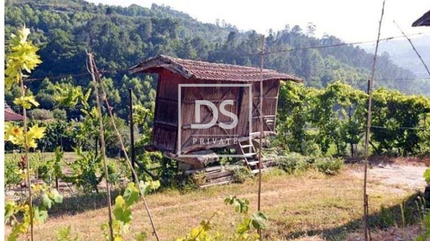 4 bedrooms House in Celorico de Basto, Portugal No. 164131