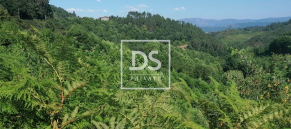 4 bedrooms House in Celorico de Basto, Portugal No. 164131 4