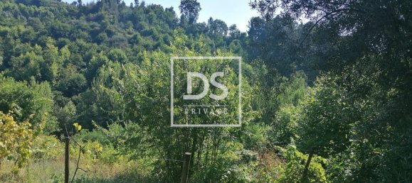 4 bedrooms House in Celorico de Basto, Portugal No. 164131 23