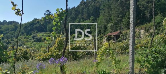 4 bedrooms House in Celorico de Basto, Portugal No. 164131 19