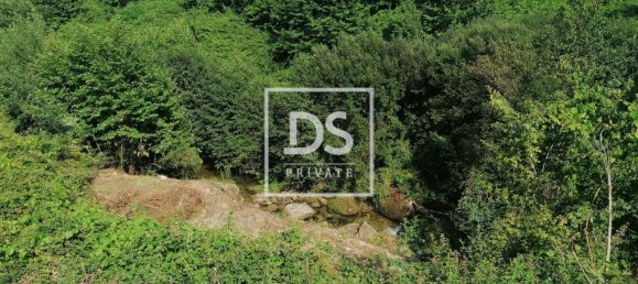 4 bedrooms House in Celorico de Basto, Portugal No. 164131 6