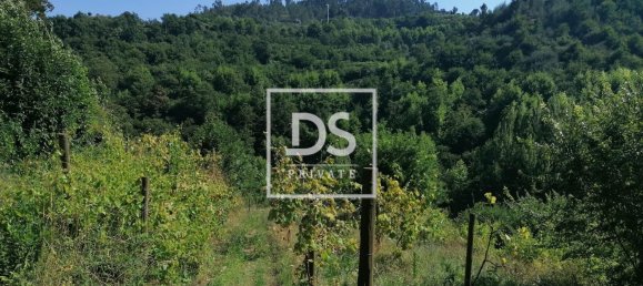 4 bedrooms House in Celorico de Basto, Portugal No. 164131 18