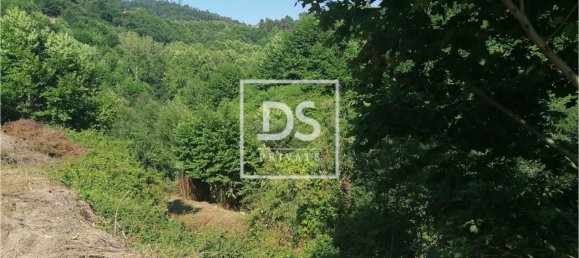 4 bedrooms House in Celorico de Basto, Portugal No. 164131 14