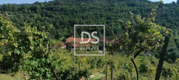 4 bedrooms House in Celorico de Basto, Portugal No. 164131 9