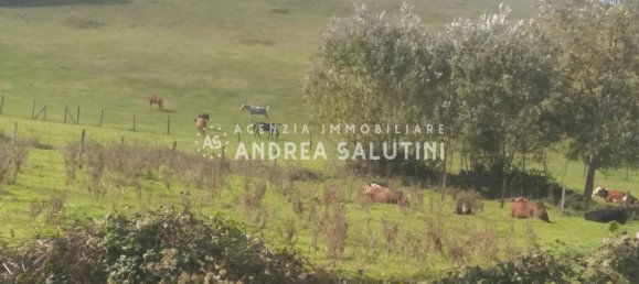 6 غرف نوم منزل في Casciana Terme Lari, Italy رقم 238618 6