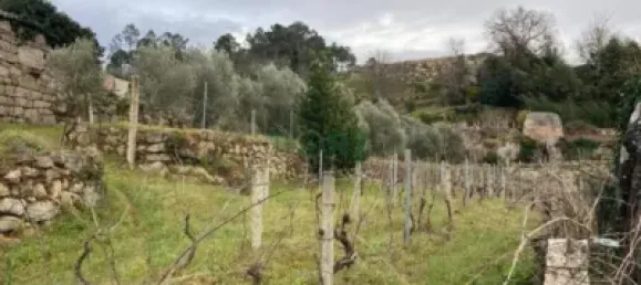 1 bedroom House in Ourense, Spain No. 140466 6