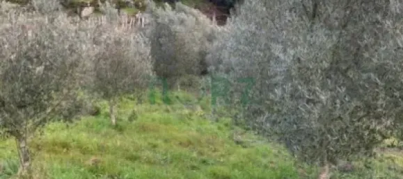 1 bedroom House in Ourense, Spain No. 140466 3