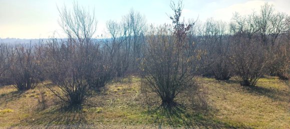 4 rooms House in Valfenera, Italy No. 229529 21