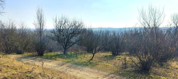 4 rooms House in Valfenera, Italy No. 229529 22