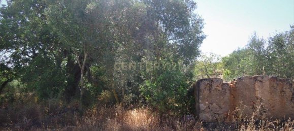 قطعة أرض في Silves, Portugal 63متر مربع رقم 86875 3