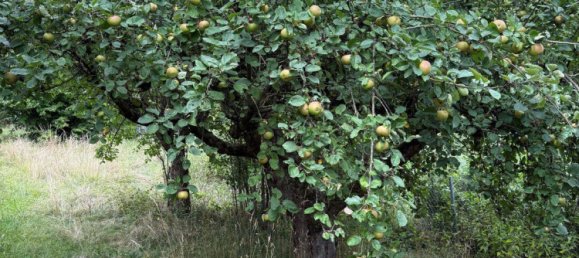  Land in Boblingen, Germany No. 277233 11