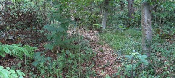  Land in Boblingen, Germany No. 277233 17